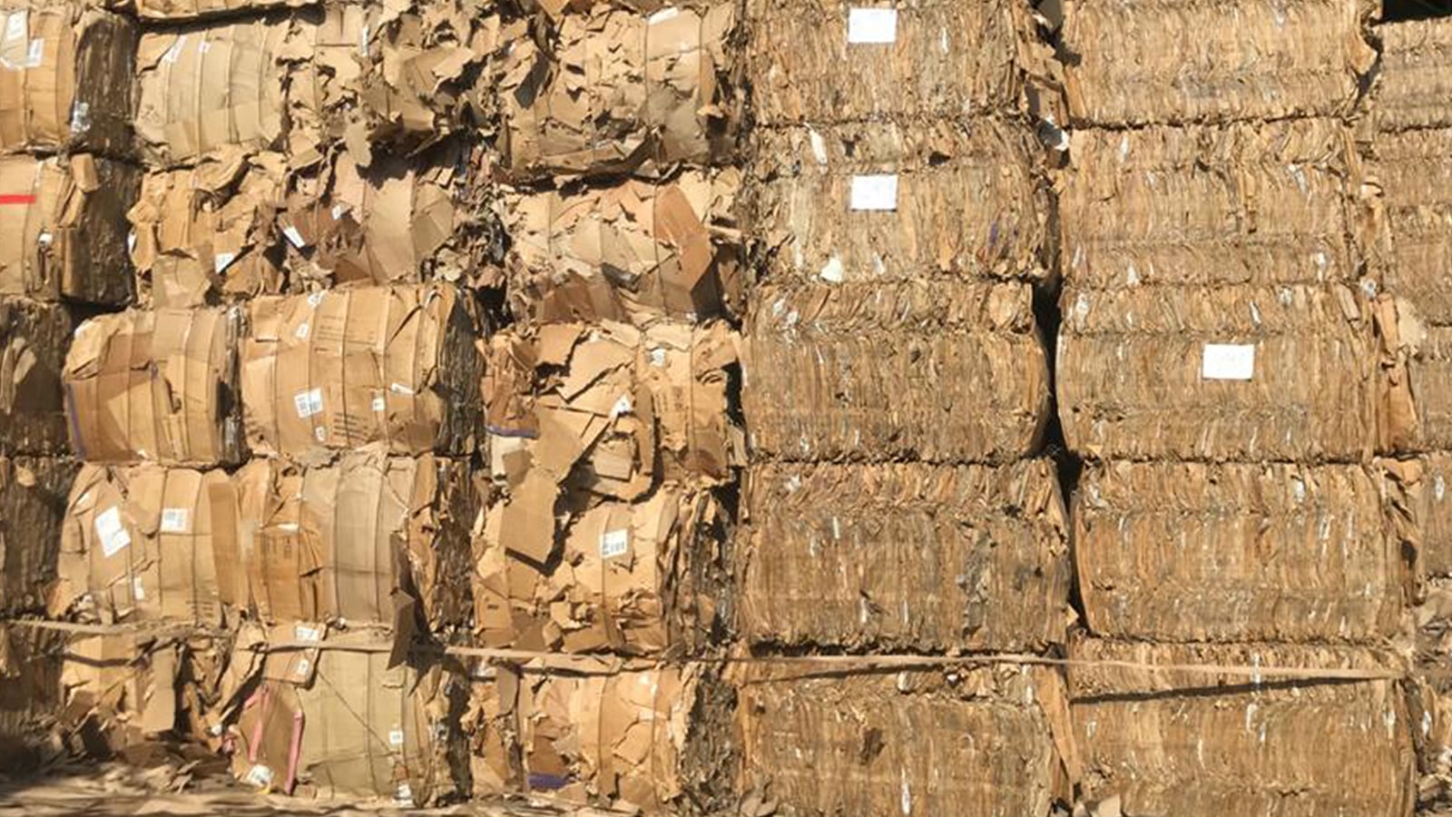 PURE OCC – EUROPE-min